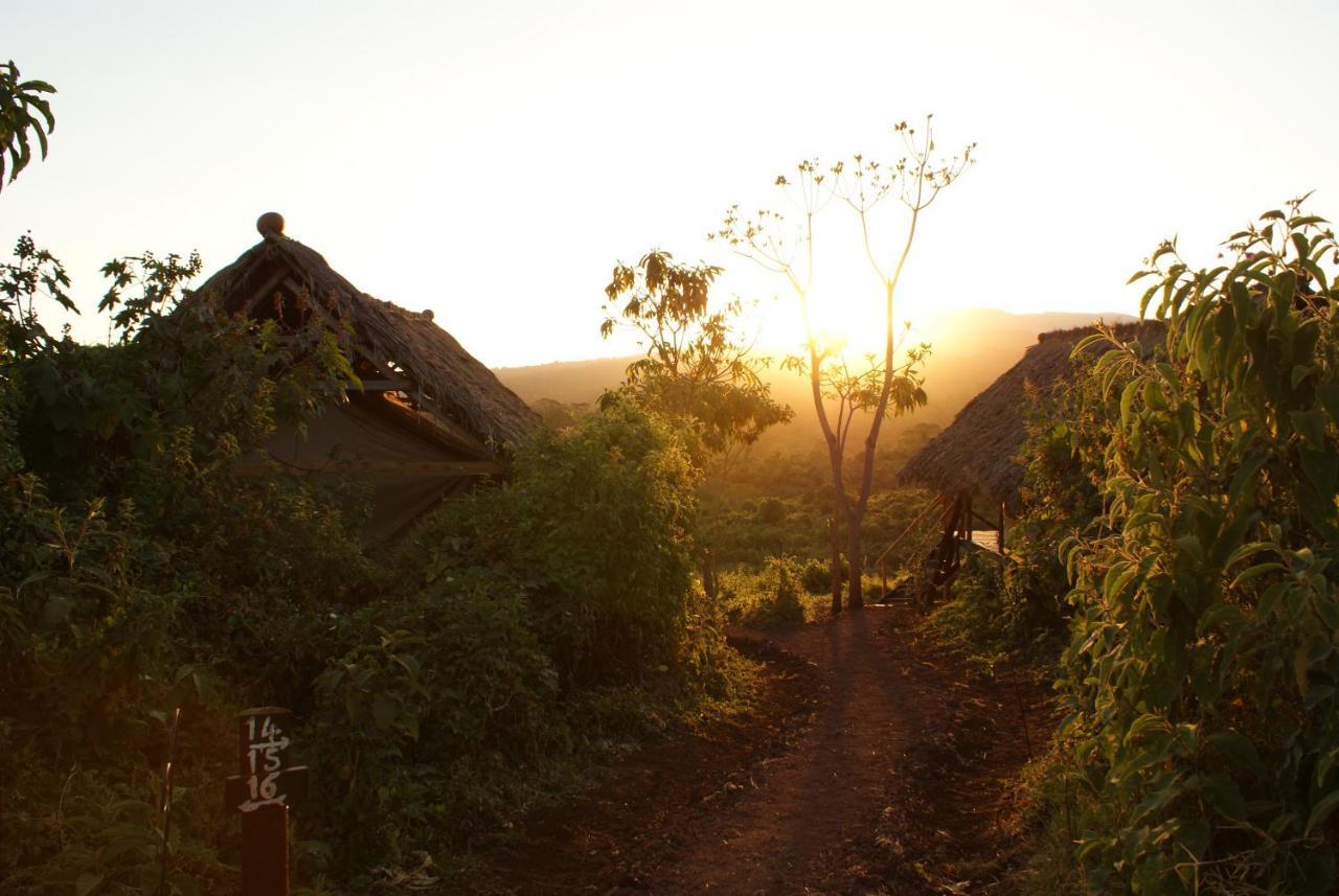 Crater Forest Tented Lodge Карату Экстерьер фото